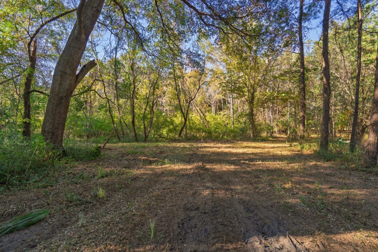 8356 Crooked Creek Lane Photo 39