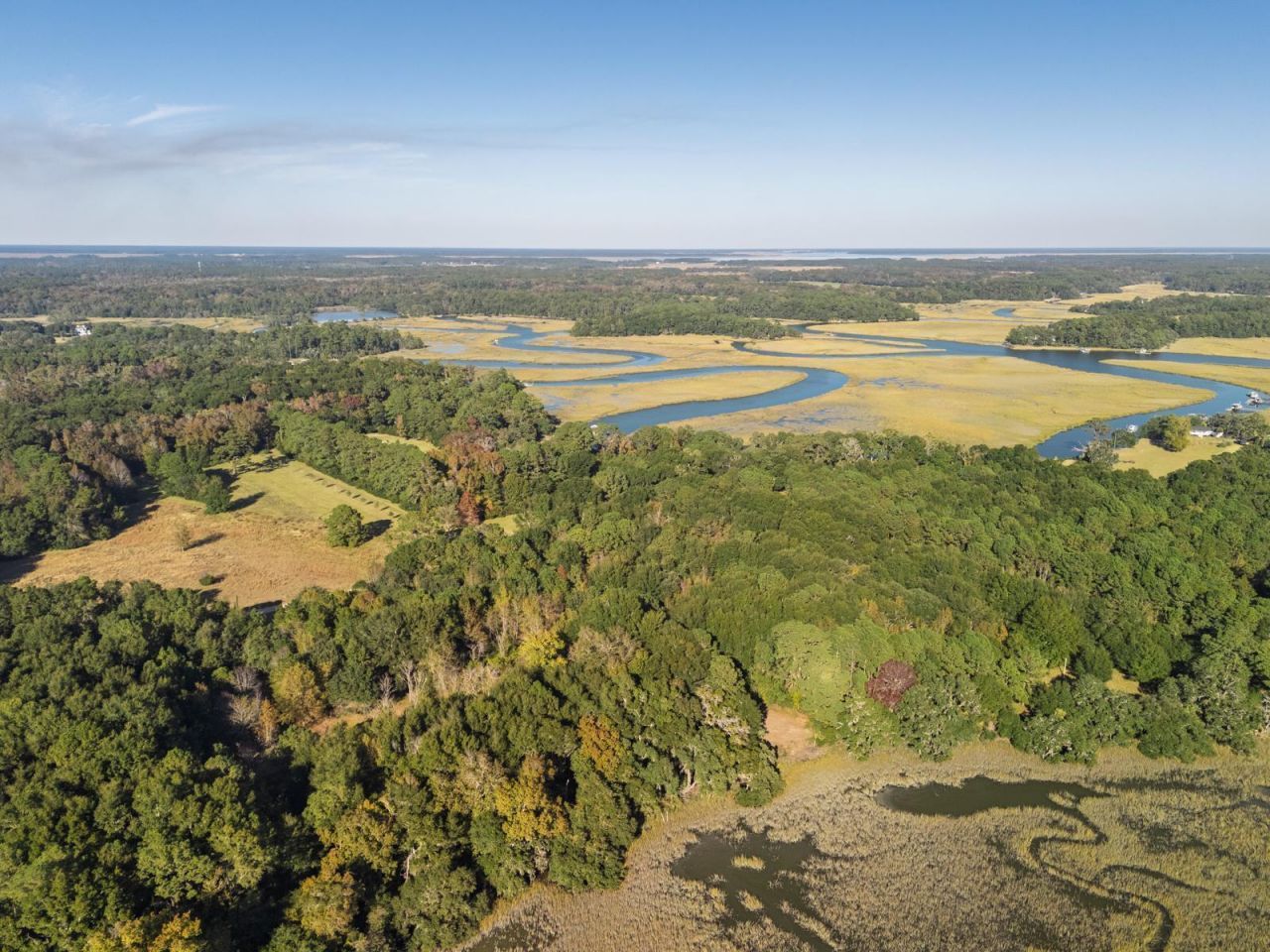 8356 Crooked Creek Lane Photo 44