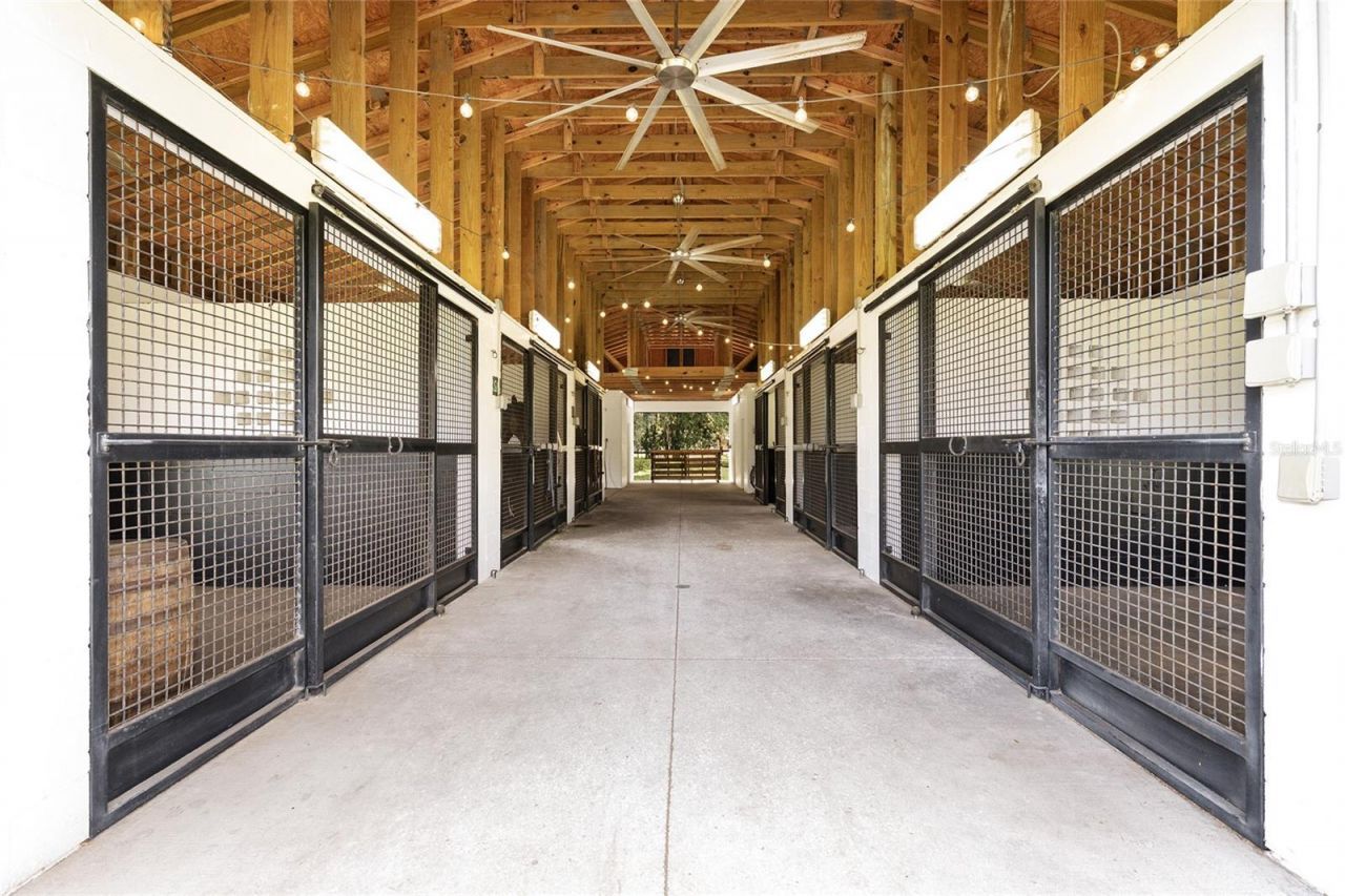 13370 W Highway 318, Williston, FL 32696 Photo