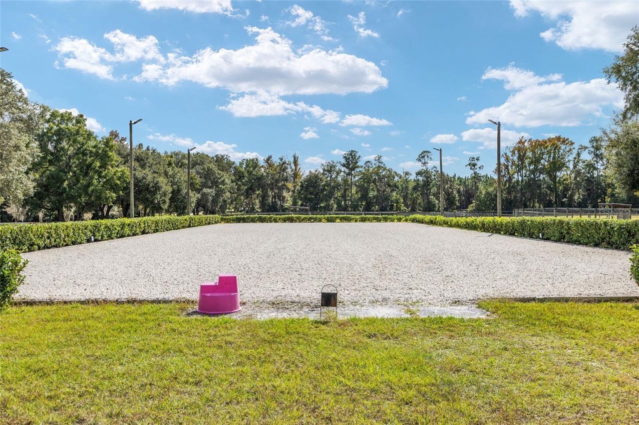 13370 W Highway 318, Williston, FL 32696 Photo