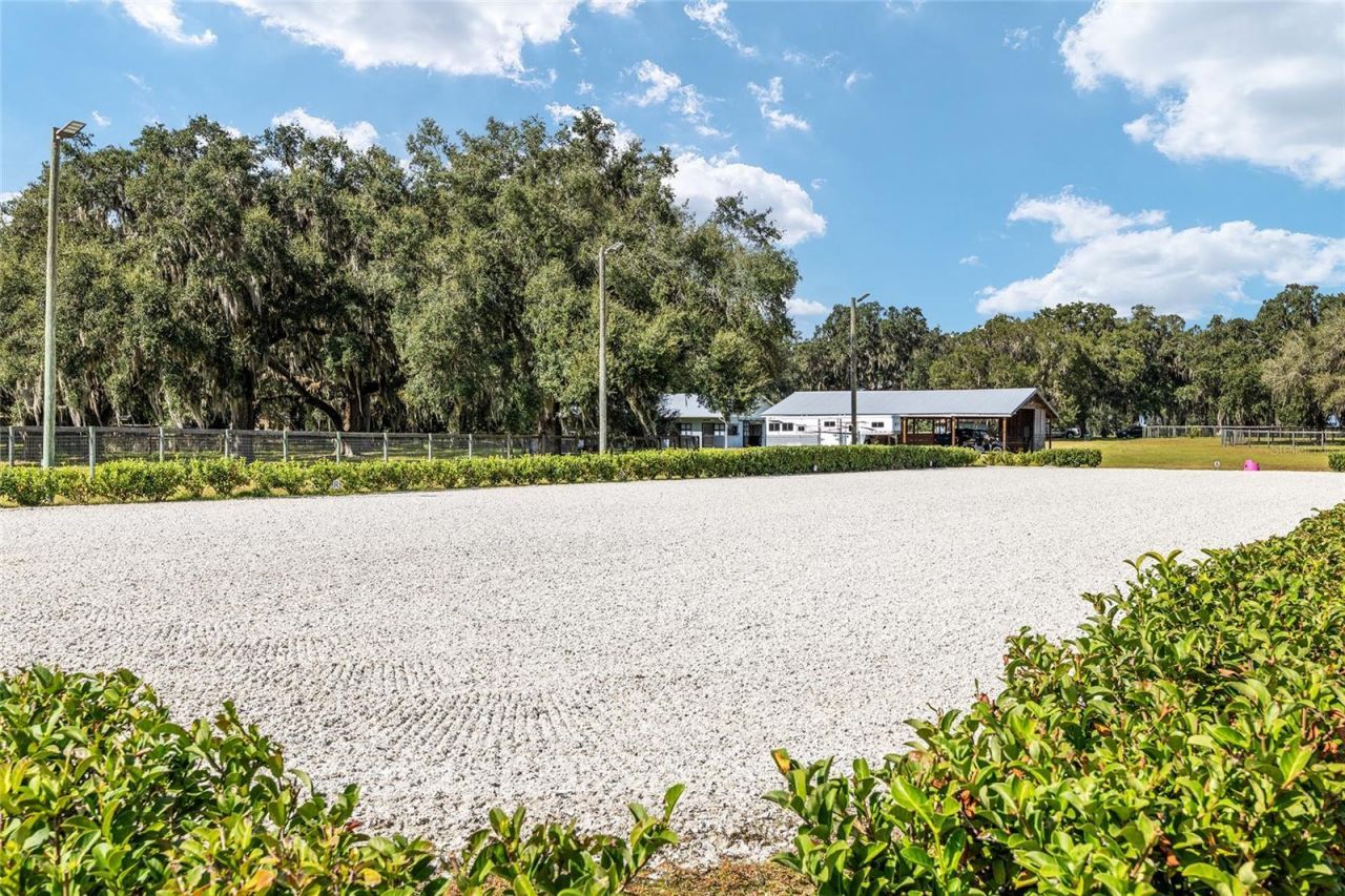 13370 W Highway 318, Williston, FL 32696 Photo