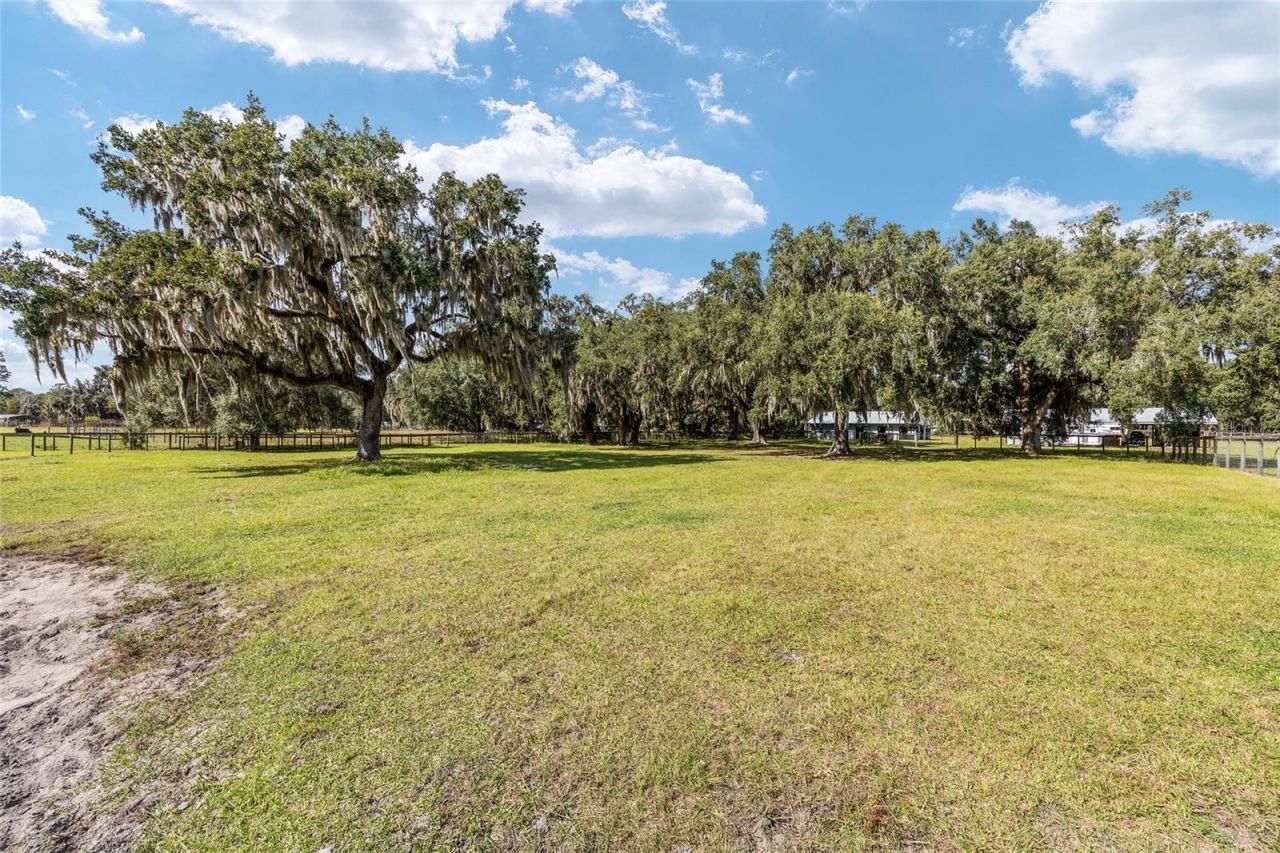 13370 W Highway 318, Williston, FL 32696 Photo