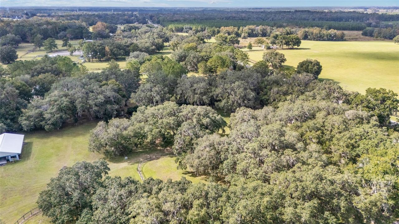 13370 W Highway 318, Williston, FL 32696 Photo