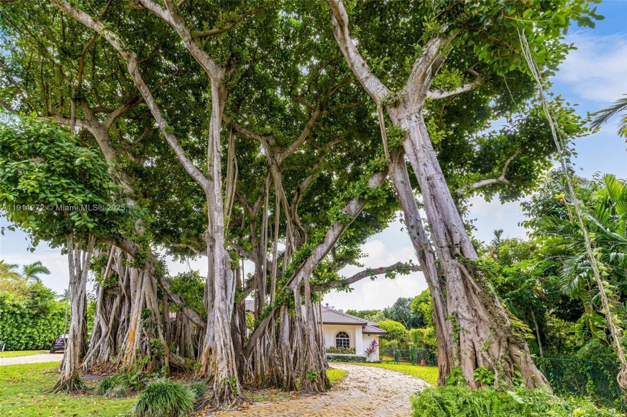 7250 SW 99th St, Pinecrest, FL 33156 Photo