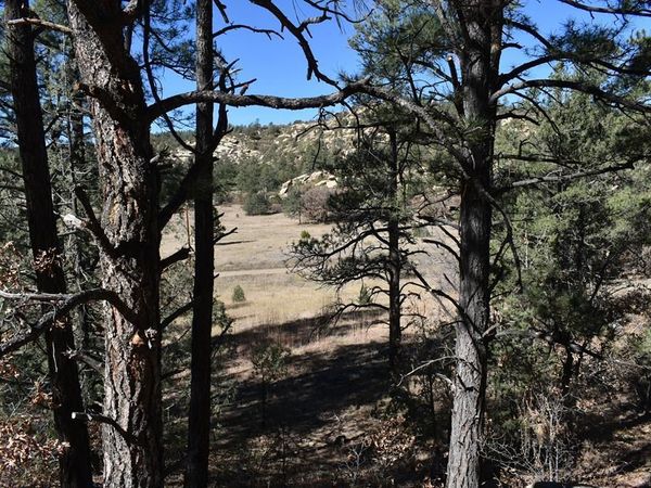 Lot 268-269 Rancho La Garita, Weston, CO 81091