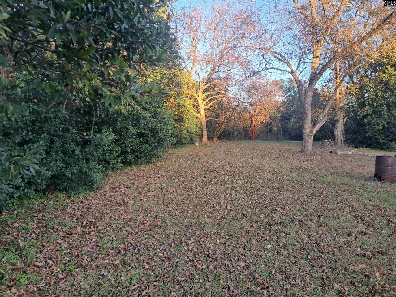 6715 Young Street Photo 17