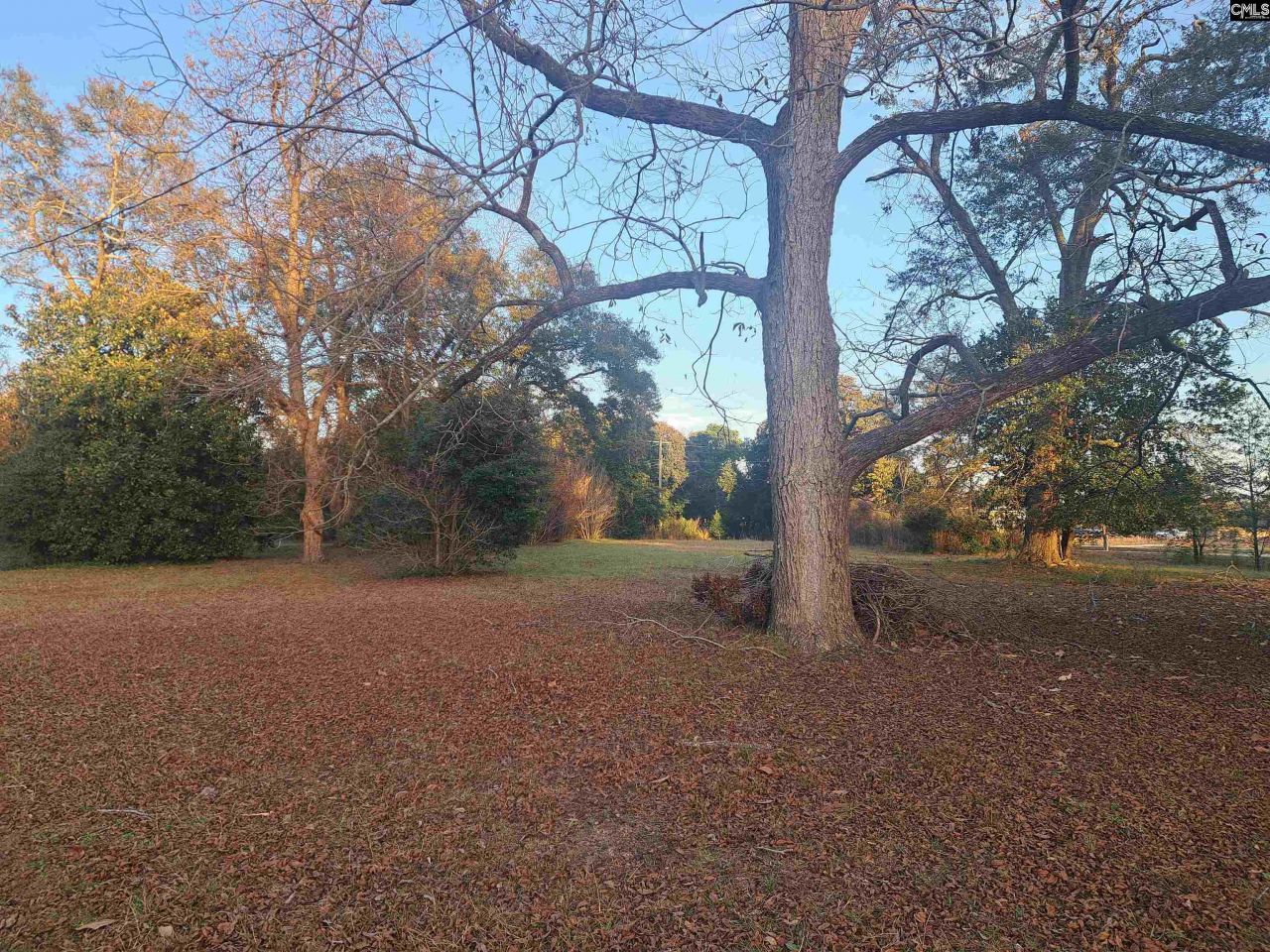 6715 Young Street Photo 18