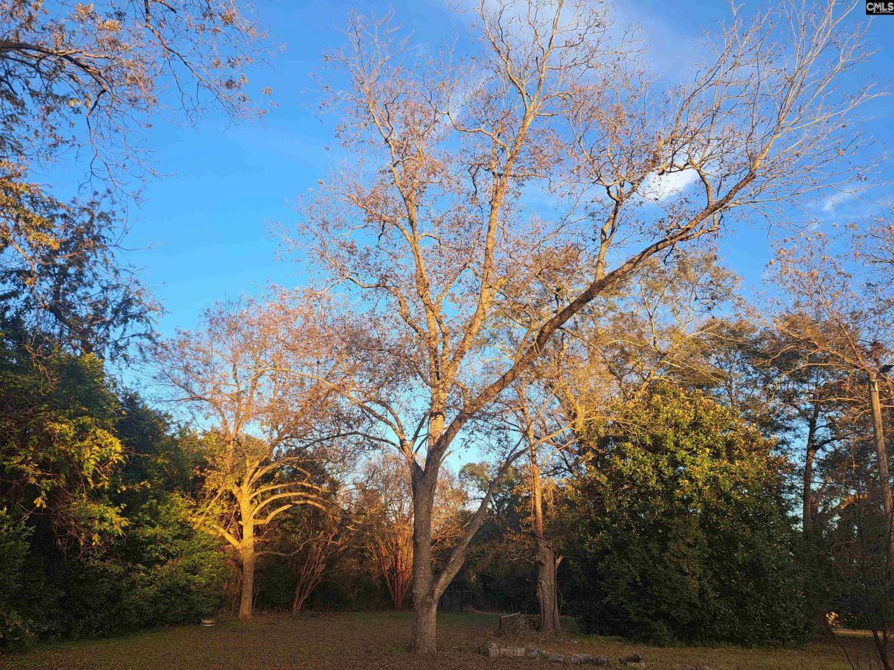 6715 Young Street Photo 19