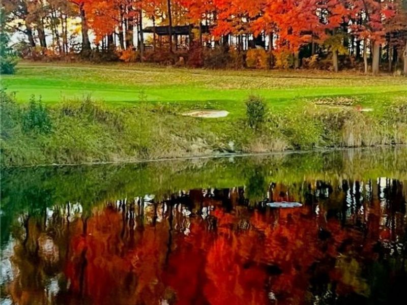 2975 Waterford Drive, Twinsburg, OH 44087 Photo 40