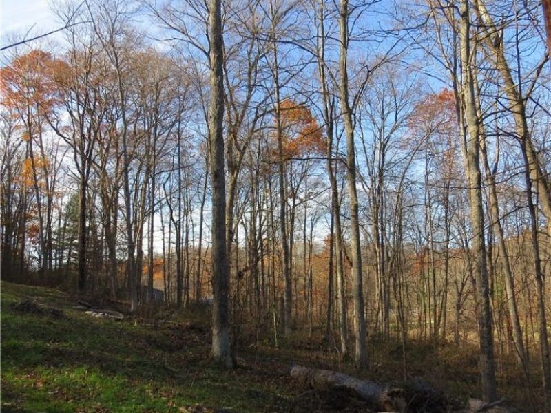 1121 Center Street SW, Carrollton, OH 44615 Photo 10