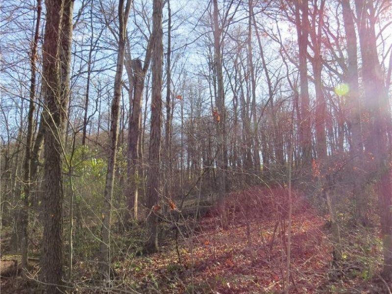 1121 Center Street SW, Carrollton, OH 44615 Photo 6