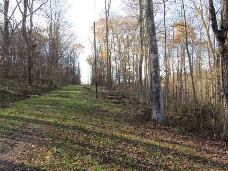 1121 Center Street SW, Carrollton, OH 44615 Photo 7