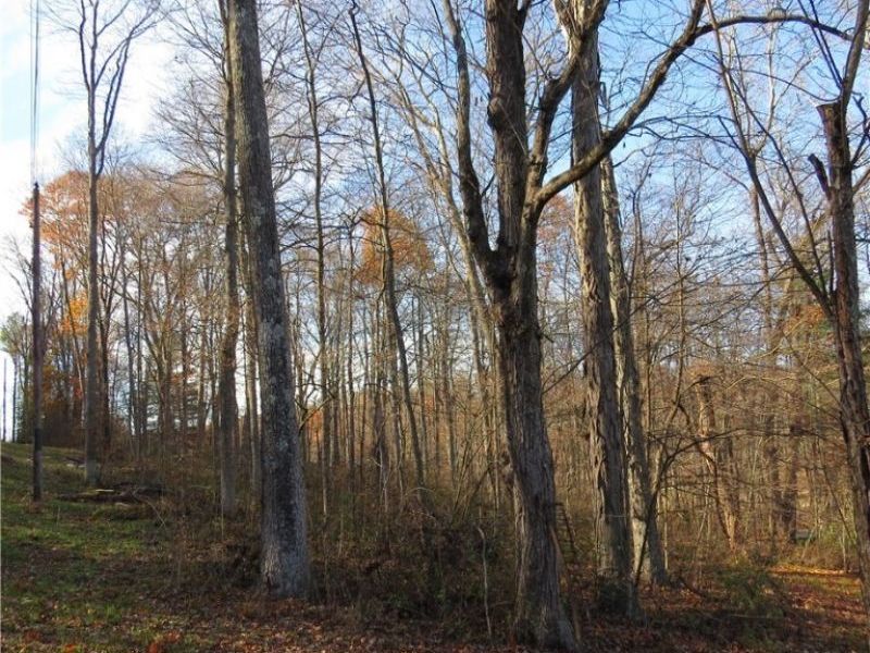 1121 Center Street SW, Carrollton, OH 44615 Photo 8