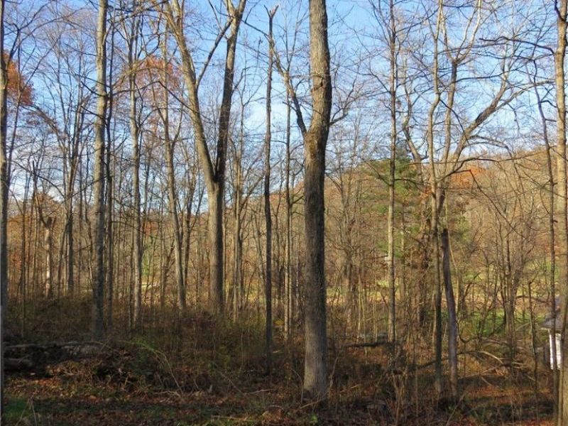 1121 Center Street SW, Carrollton, OH 44615 Photo 9