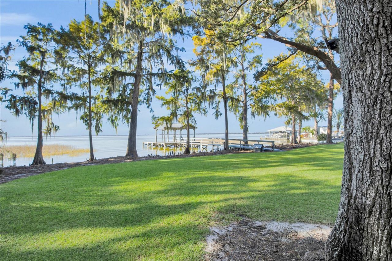 801 Lakeshore Drive, Eustis, FL 32726 Photo