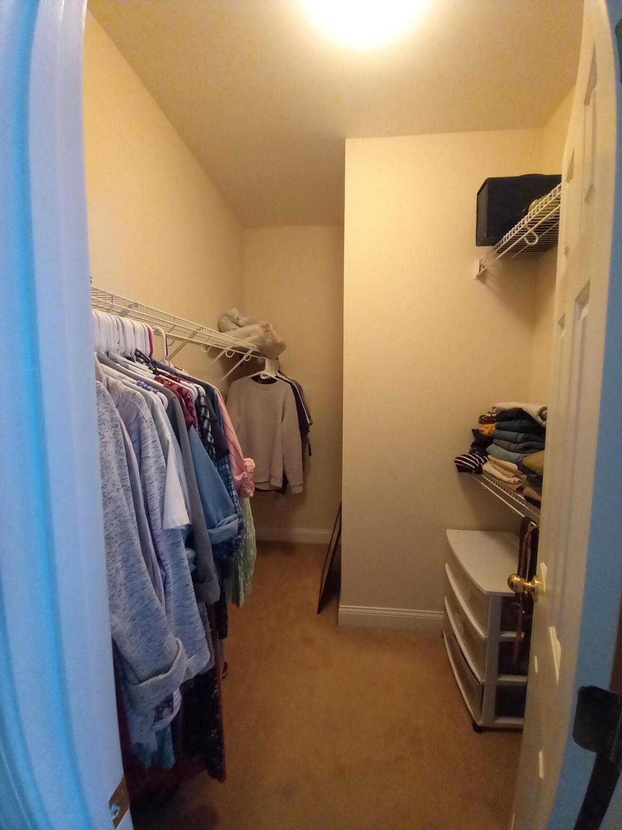 206 Equinox Circle Photo 13