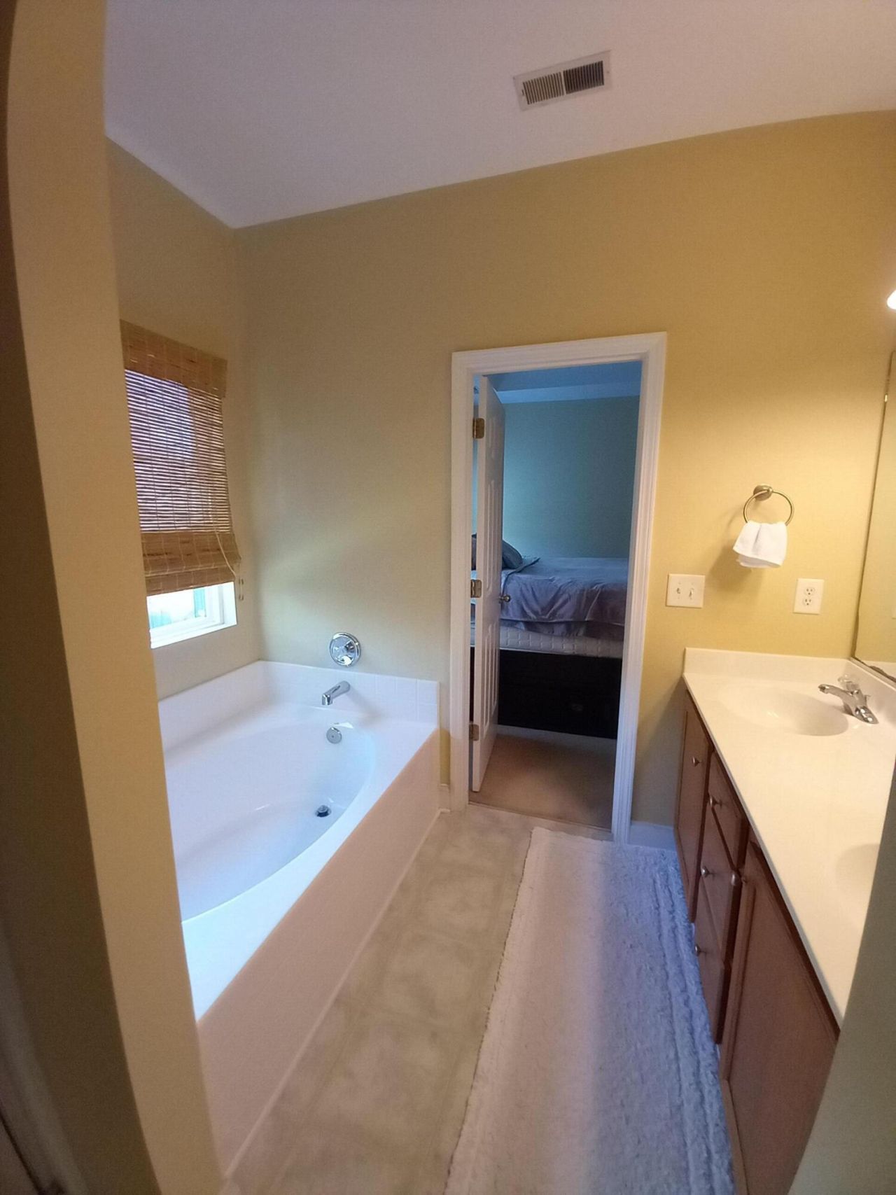 206 Equinox Circle Photo 17