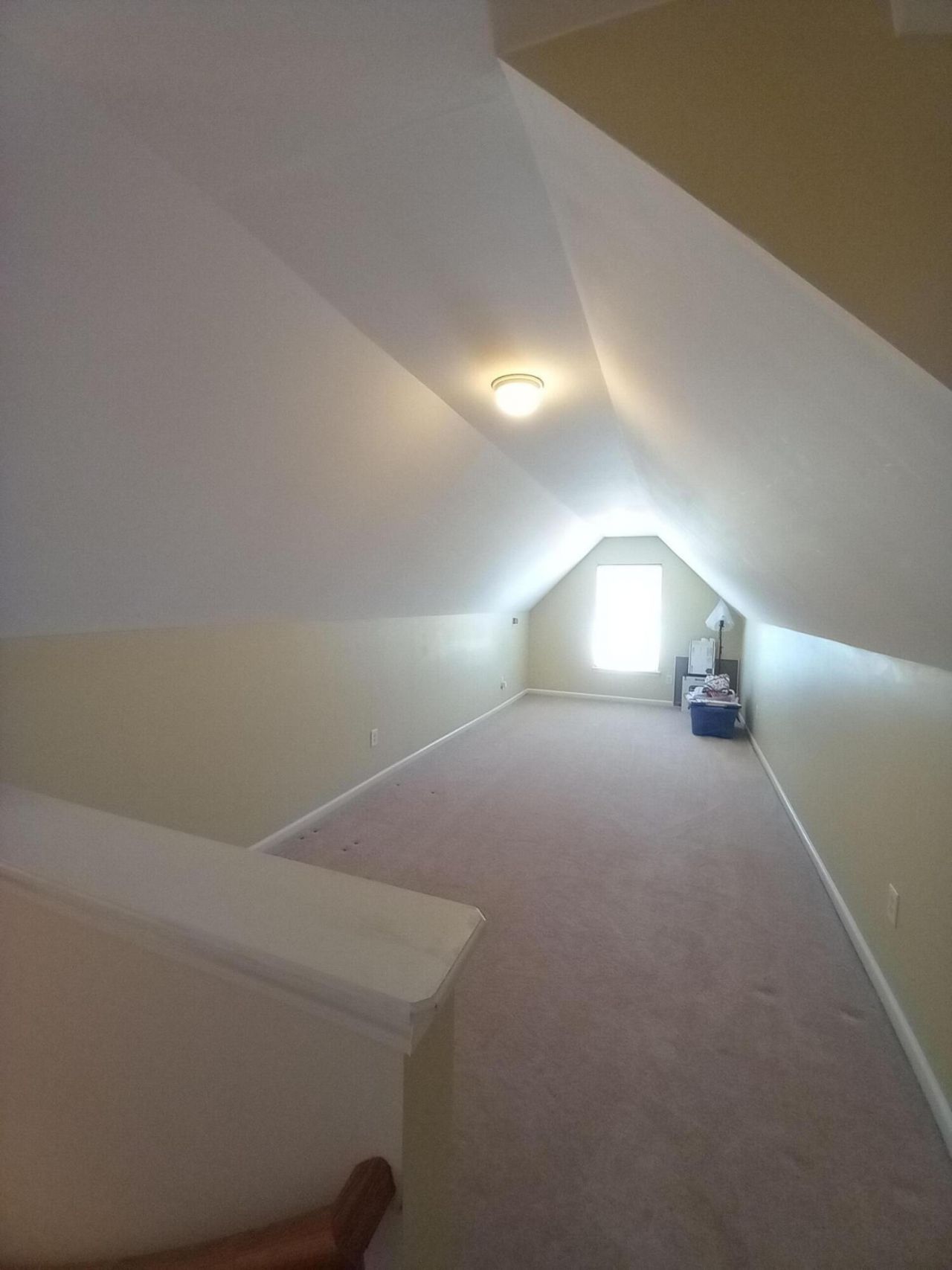 206 Equinox Circle Photo 22