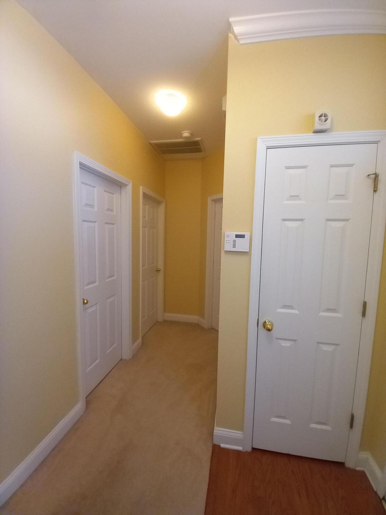 206 Equinox Circle Photo 8