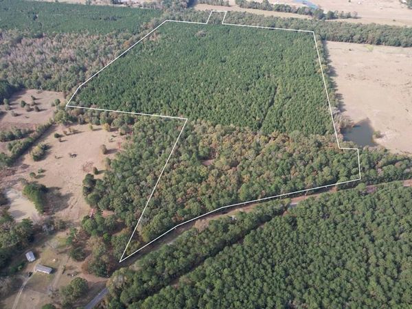 TBD-A Boggy Road , Waskom, TX 75692