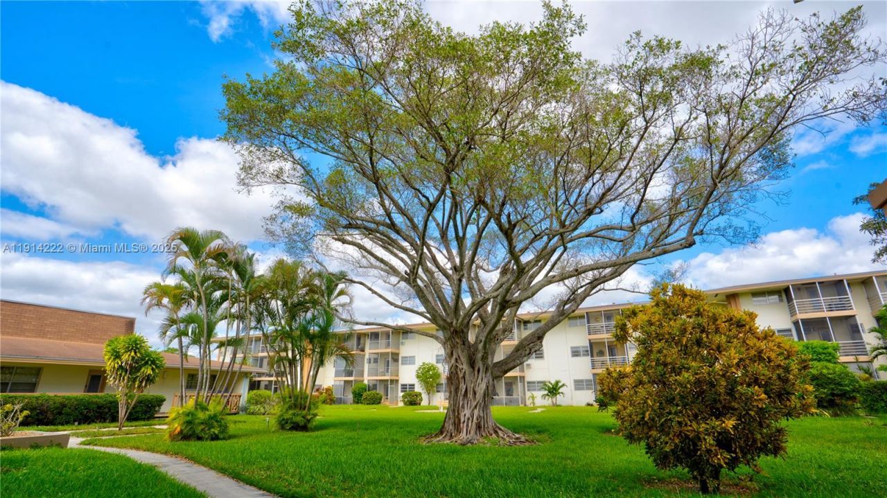 16790 NE 14th Ave, Unit 206, Miami, FL 33162 Photo