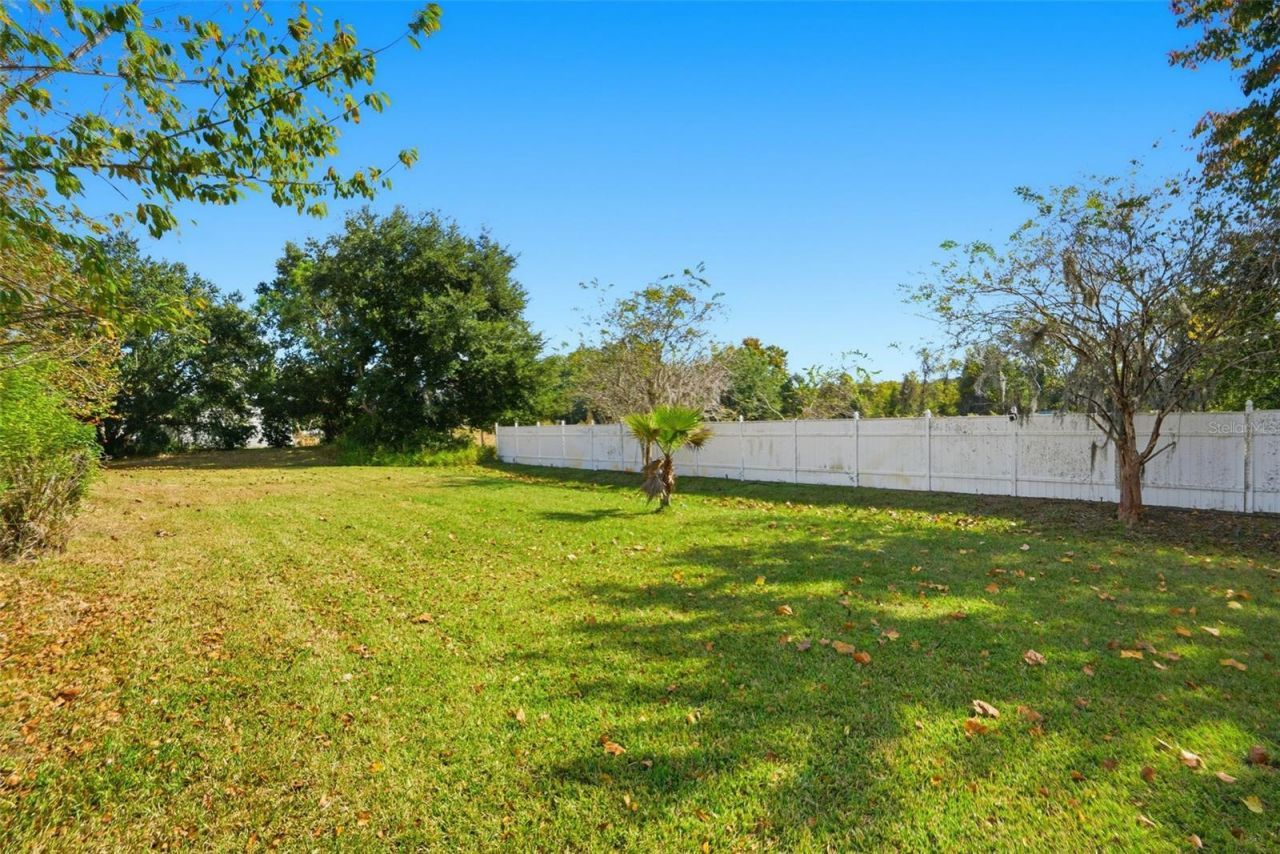 23720 Hideout Trail, Land O Lakes, FL 34639 Photo