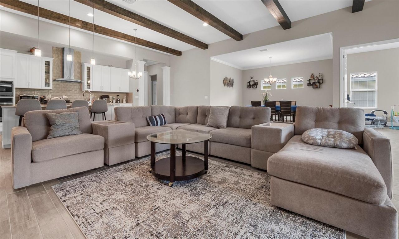 155 Sabal Breeze Court, Brandon, FL 33511 Photo