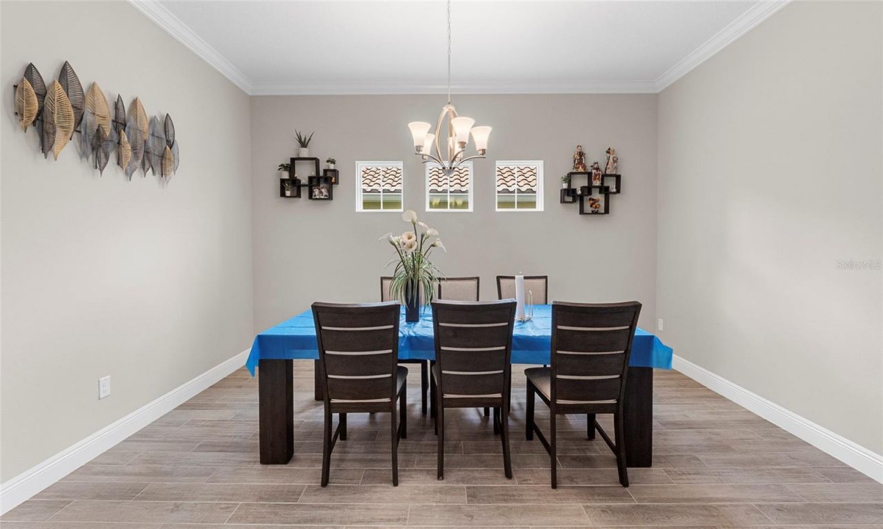 155 Sabal Breeze Court, Brandon, FL 33511 Photo