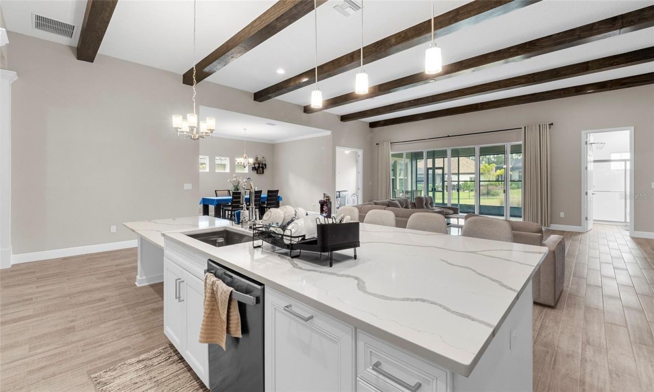 155 Sabal Breeze Court, Brandon, FL 33511 Photo