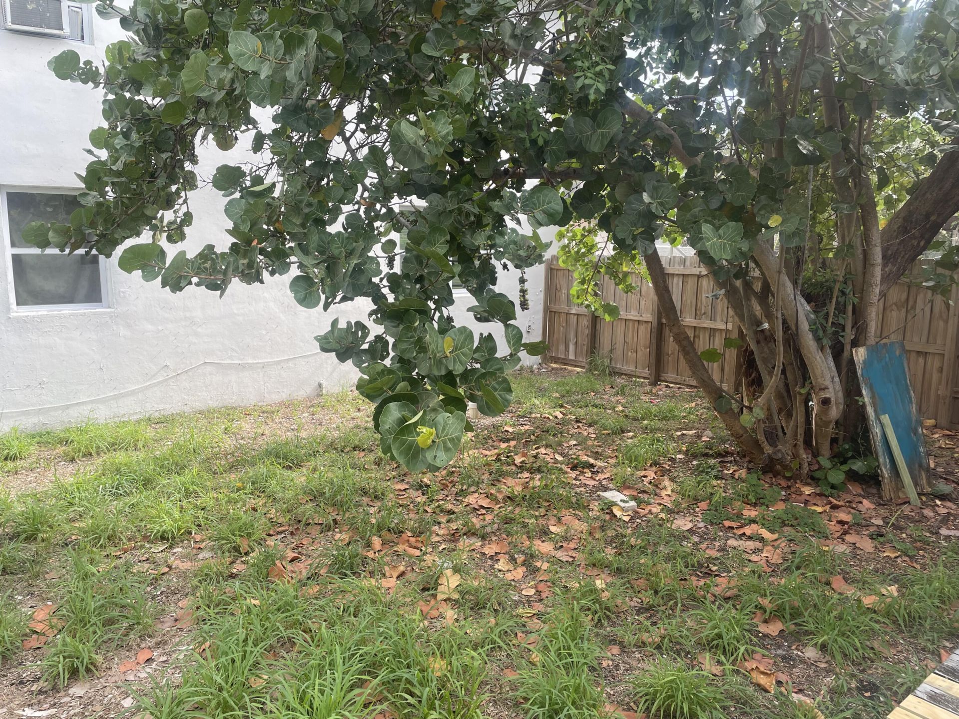 803 3rd Street, West Palm Beach, FL 33401 Photo