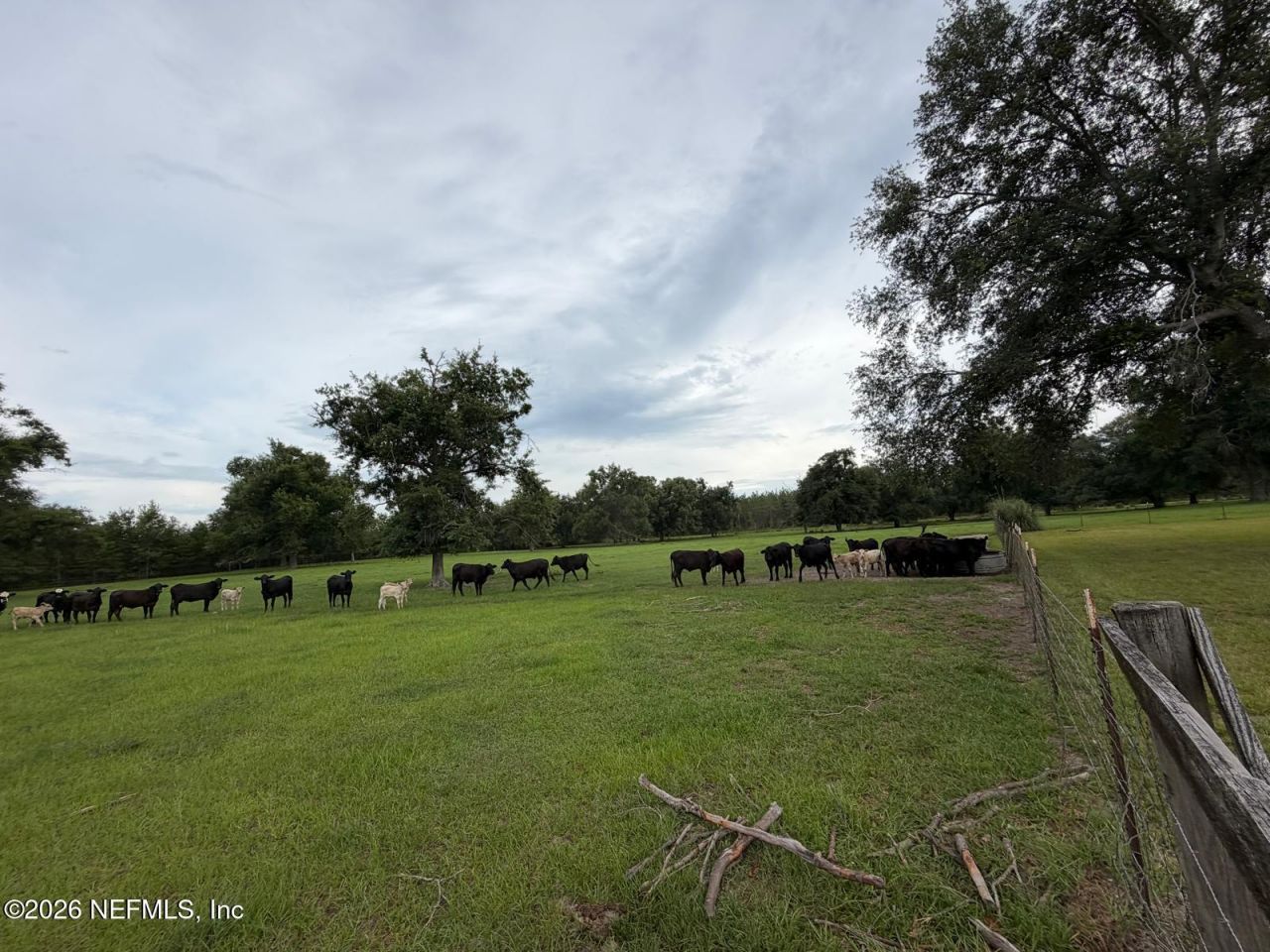 5377 SW 40th Avenue, Jasper, FL 32052 Photo