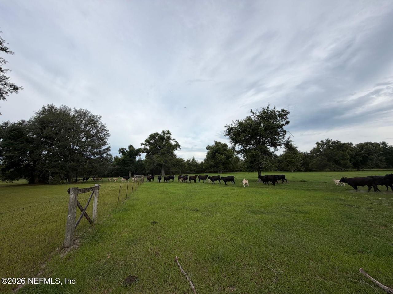 5377 SW 40th Avenue, Jasper, FL 32052 Photo