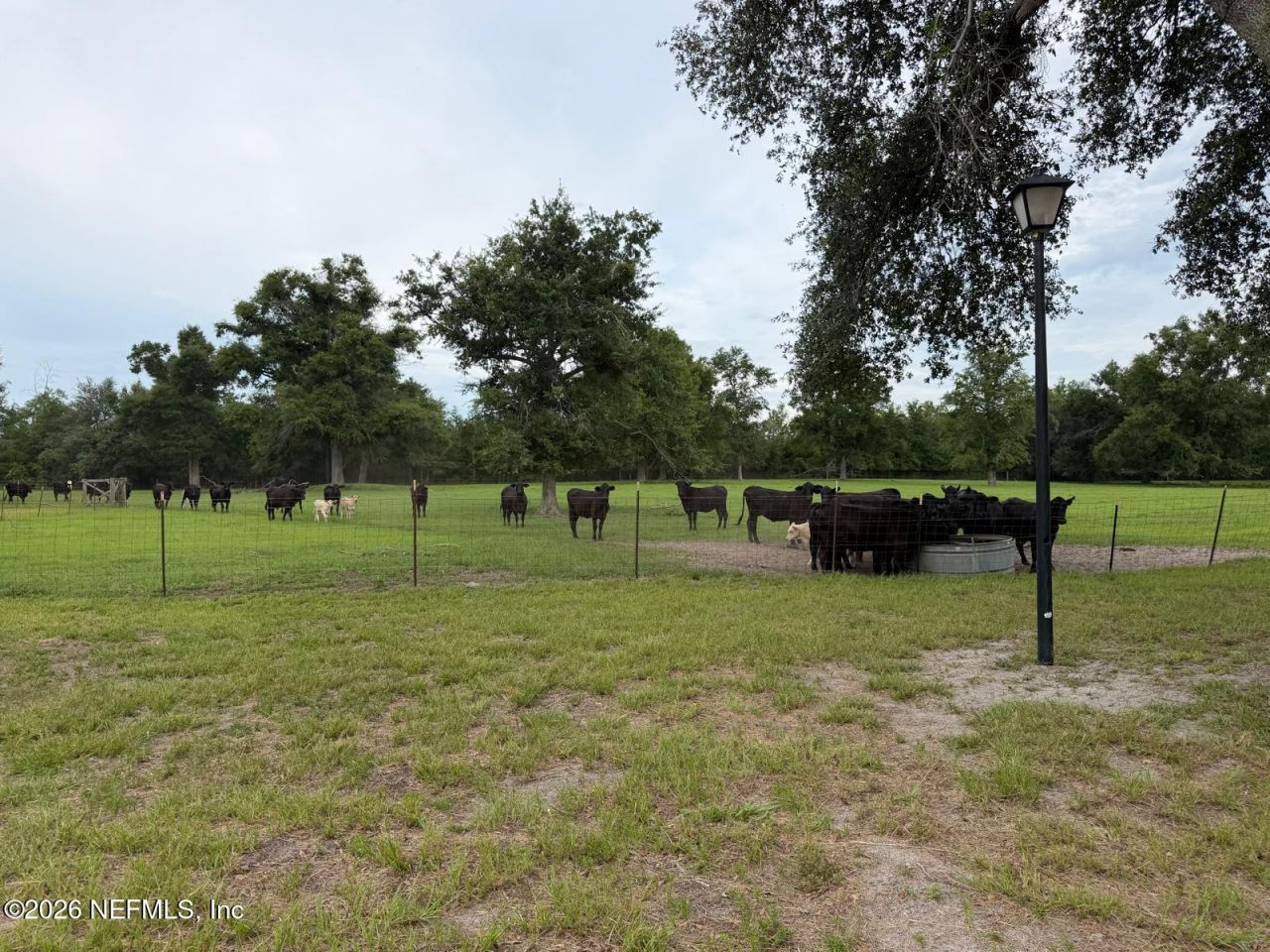 5377 SW 40th Avenue, Jasper, FL 32052 Photo