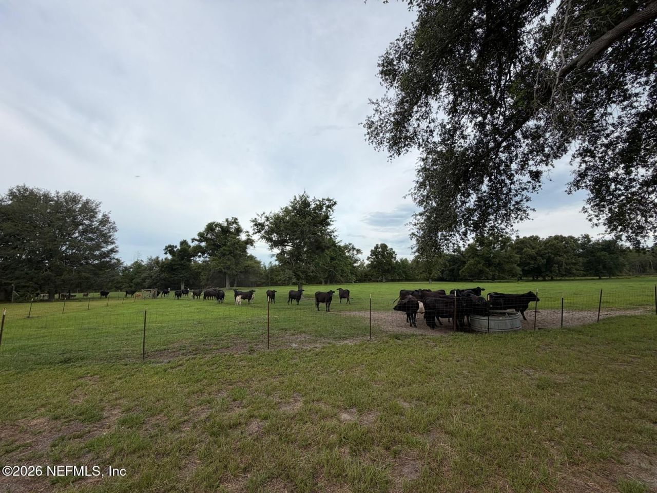 5377 SW 40th Avenue, Jasper, FL 32052 Photo