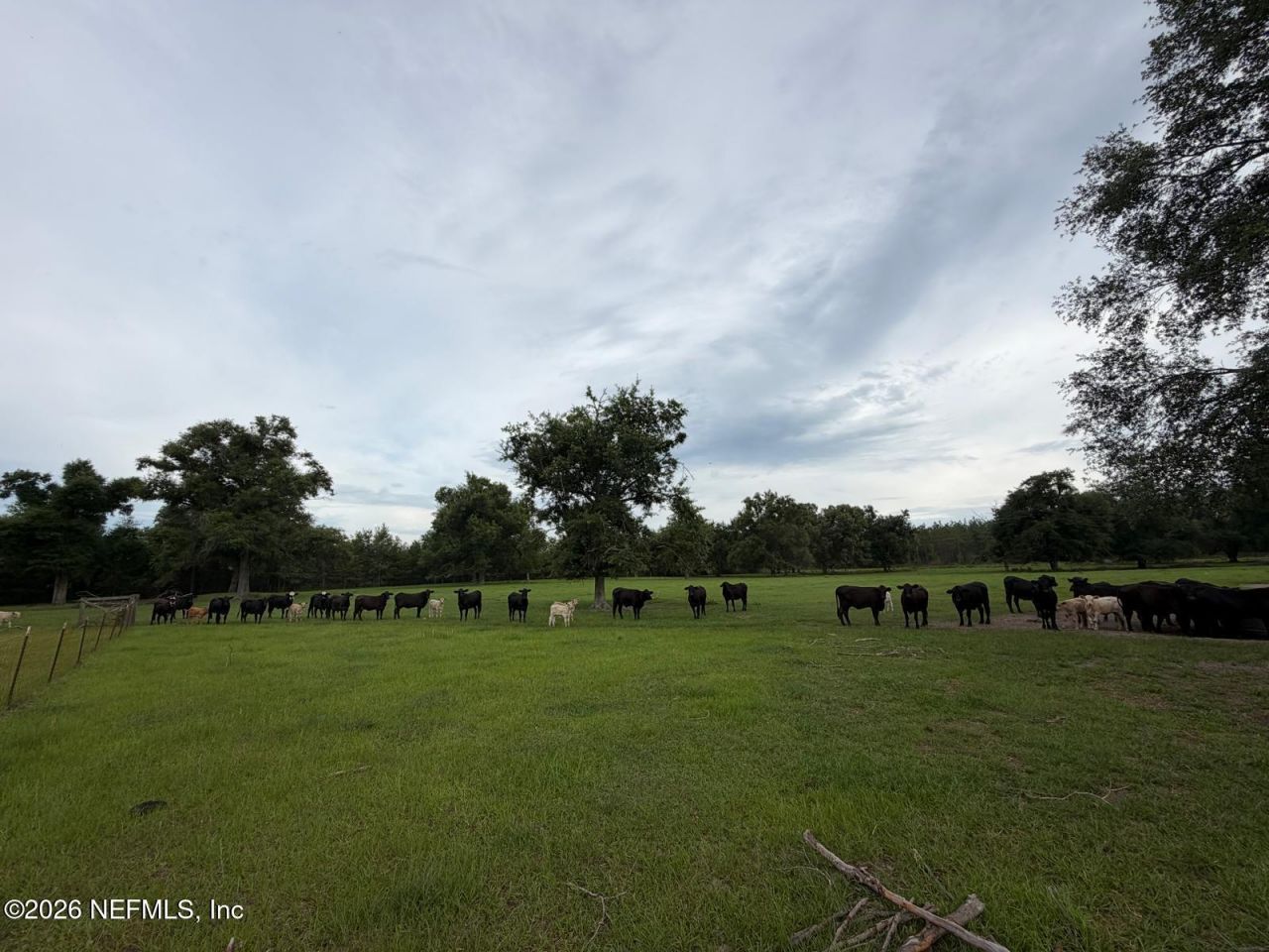 5377 SW 40th Avenue, Jasper, FL 32052 Photo
