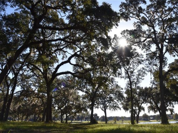 OFF HWY 301, SUMMERFIELD, FL 34491