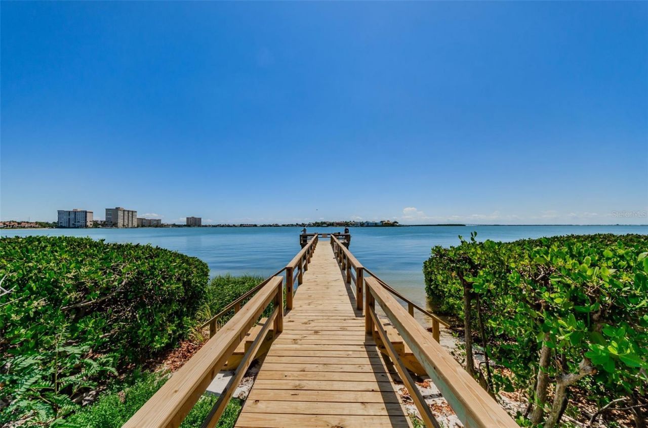 6269 Palma Del Mar Boulevard S, Unit 105, Saint Petersburg, FL 33715 Photo