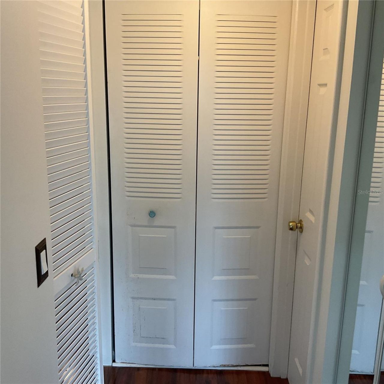 6269 Palma Del Mar Boulevard S, Unit 105, Saint Petersburg, FL 33715 Photo