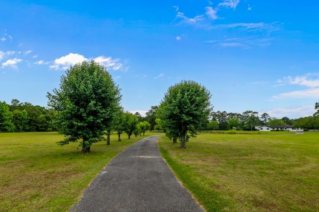 9778 Florida-georgia Highway , Havana, FL 32333 Photo