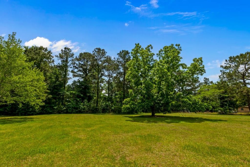 9778 Florida-georgia Highway , Havana, FL 32333 Photo