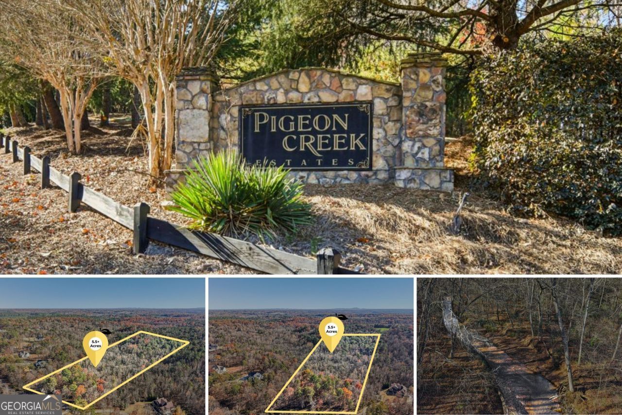 29 Pigeon Creek Drive, Dawsonville, GA 30534 Main Photo