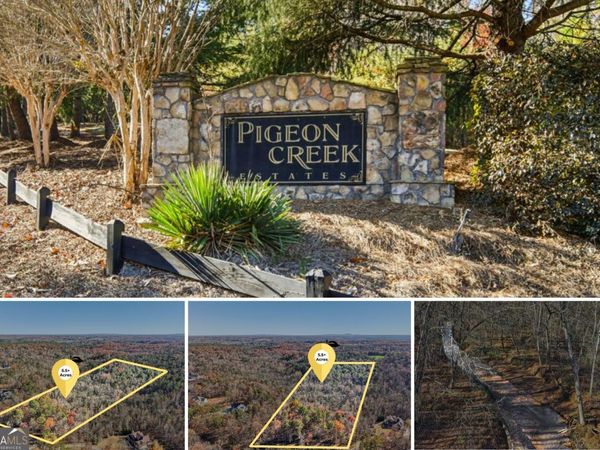 29 Pigeon Creek Drive, Dawsonville, GA 30534