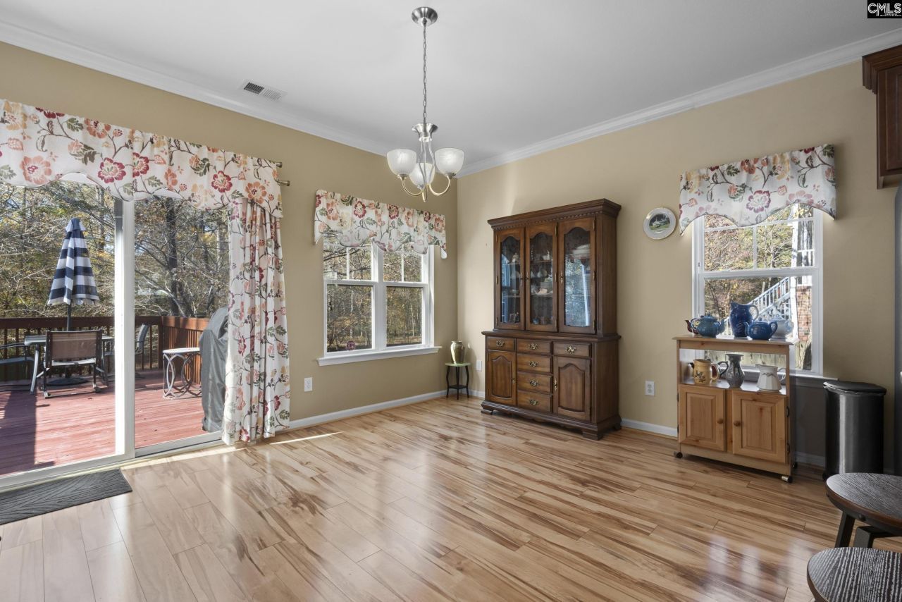 204 Saints Creek Lane  Photo 10