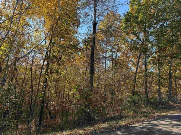 2 WOODS CLIFF LN, Savannah, TN 38372