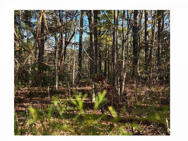 151 WOODRUN CIR, Middleton, TN 38052