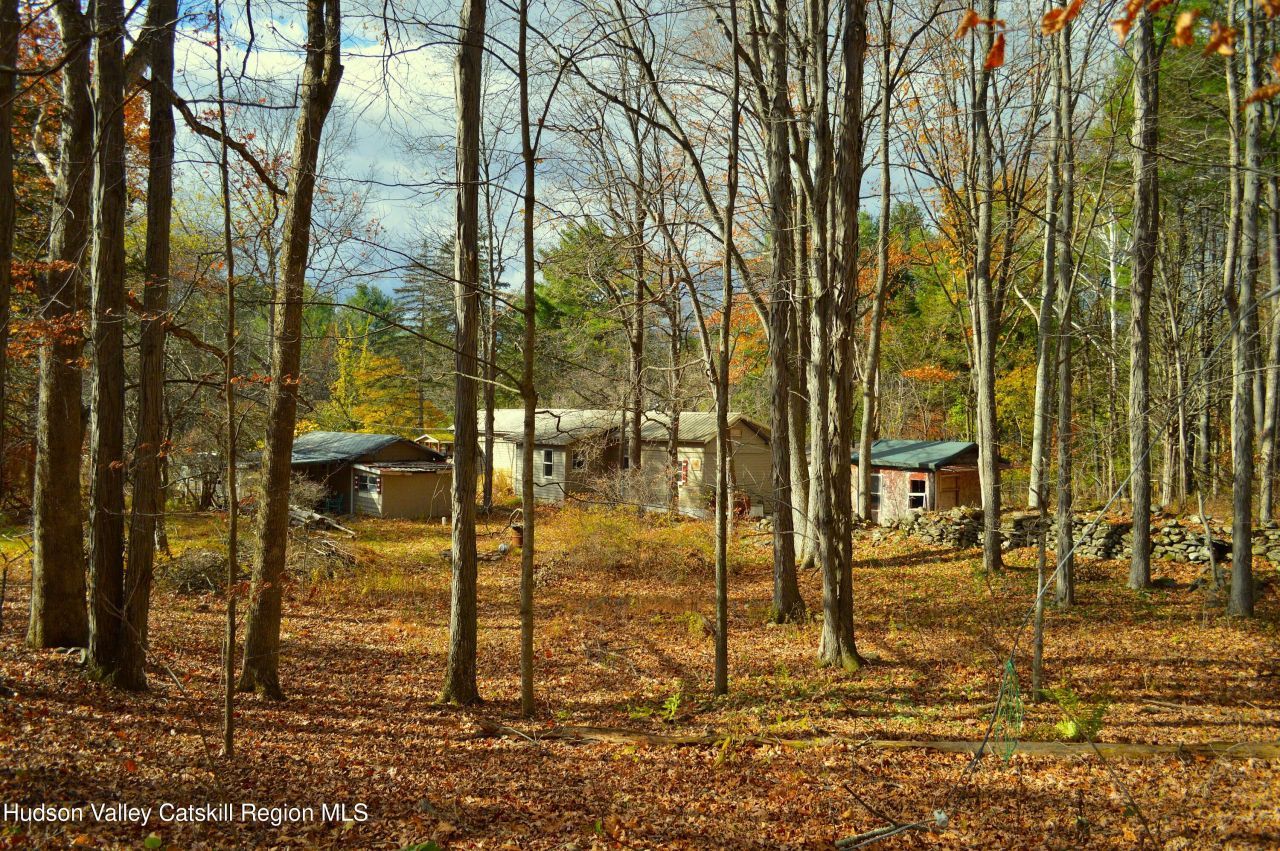 100 Meadow Lane, Cairo, NY 12413 Main Photo