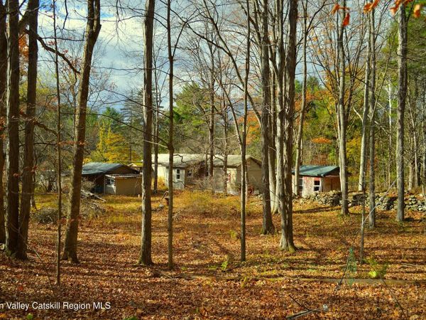 100 Meadow Lane, Cairo, NY 12413