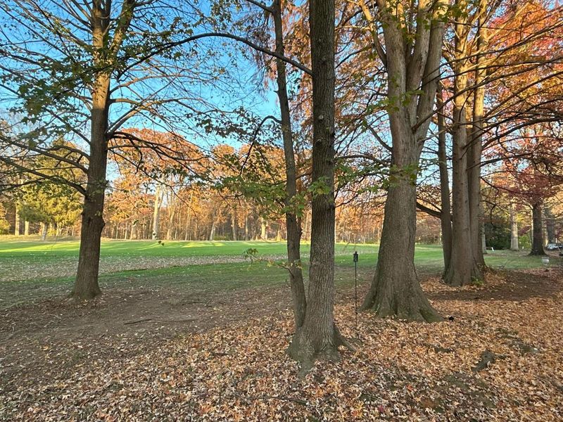 4860 Smoketalk Lane, Unit 3, Westerville, OH 43081 Photo 24