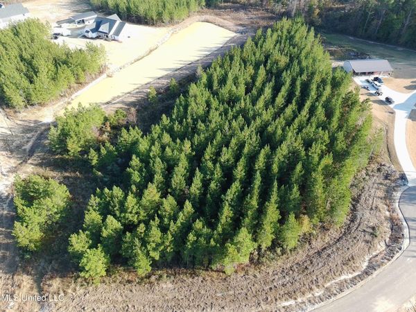 903 Old Glory Lane, Brandon, MS 39047