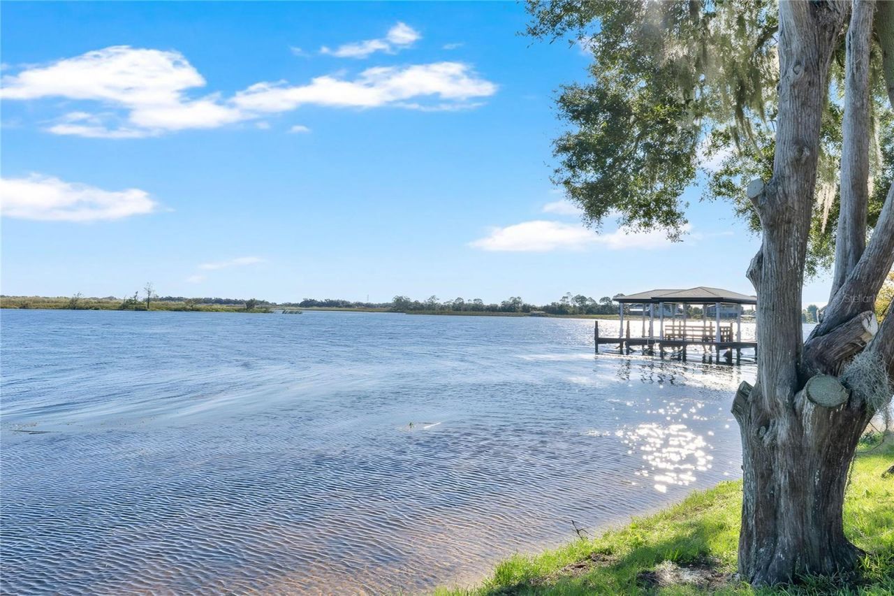 15783 Tangerine Dream Court, Winter Garden, FL 34787 Photo